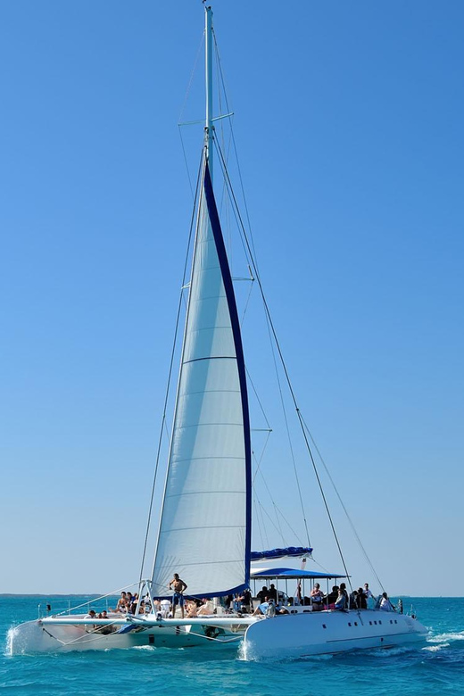 Saona Island Private +10 People - Itinerary and Experience