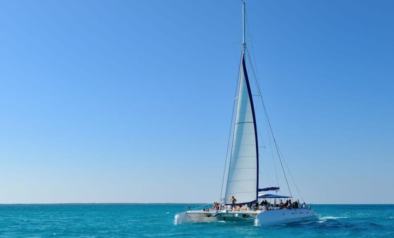 Saona Island Private +10 People - Highlights and Activities
