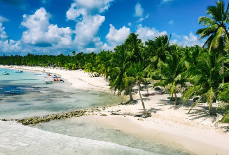 Saona Island Private: Speedboat Tour From Punta Cana - Key Points