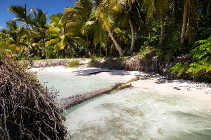Saona Island Private: Speedboat Tour From Punta Cana - Itinerary and Activities