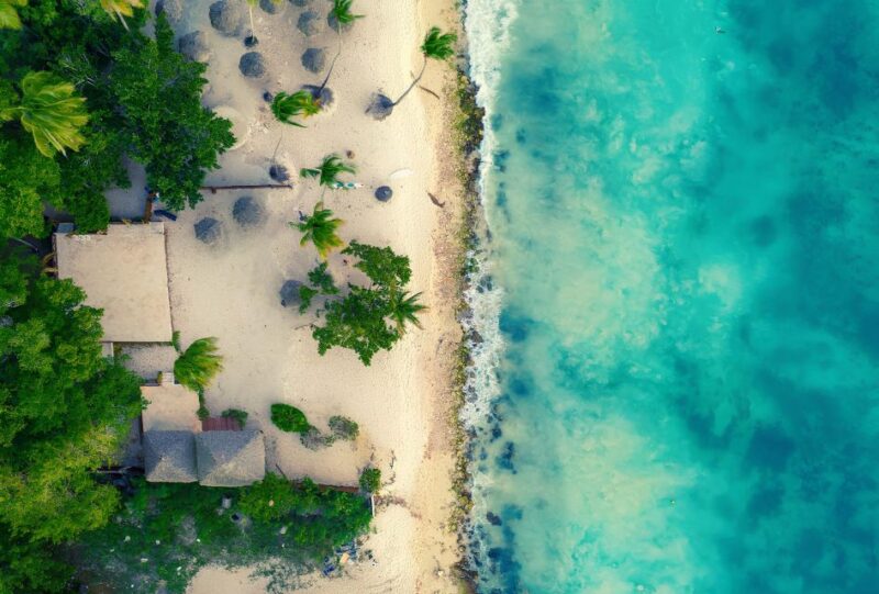 Saona Island Private: Speedboat Tour From Punta Cana - Private Tour