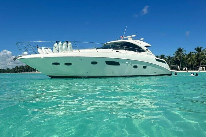 Saona Island Private Yacht Tour - The Experience’s Strengths and Potential Drawbacks