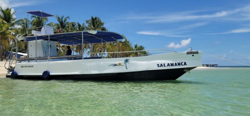 Saona Island: Small Group Virgin Beaches Cruise Day Trip - Itinerary and Highlights