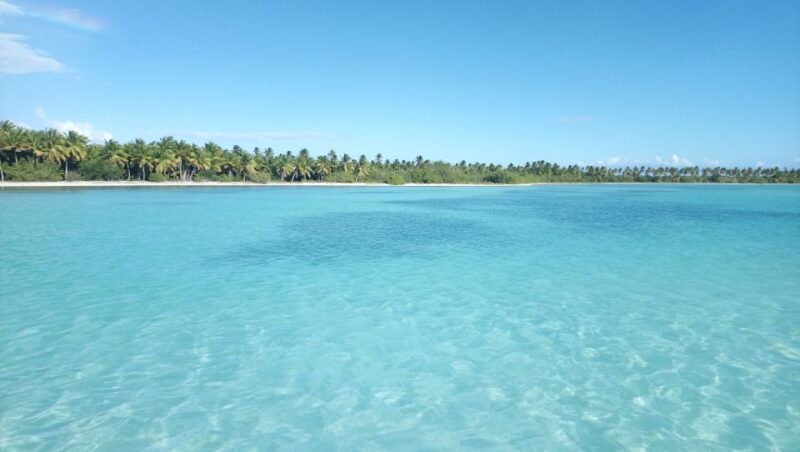 Saona Island: Small Group Virgin Beaches Cruise Day Trip - Transportation and Pickup Information