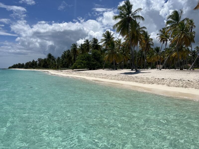 Saona Island: Small Group Virgin Beaches Cruise Day Trip - Customer Reviews and Ratings