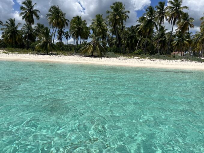 Saona Island: Small Group Virgin Beaches Cruise Day Trip - Snorkeling and Natural Pool