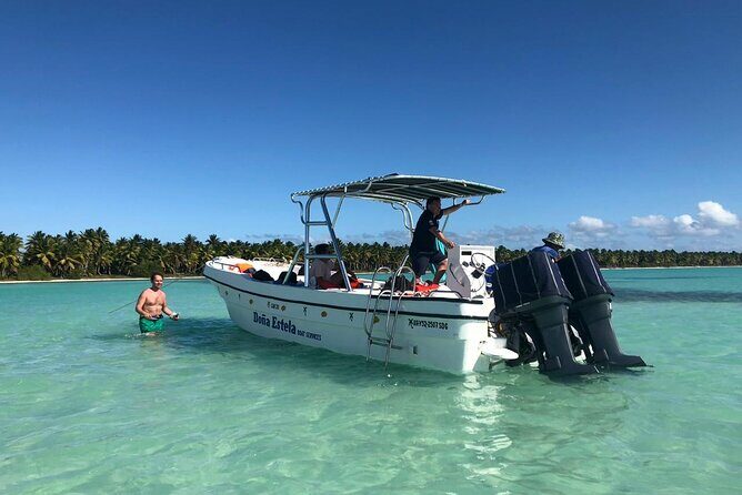 Saona Island Speedboat Tour with Lunch & Natural Pool Swim - An In-Depth Look at the Saona Island Speedboat Experience