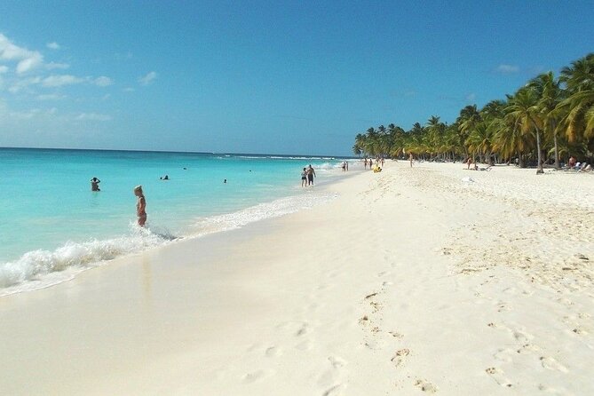 Saona Island Tour: All Buffet, Speedboat Catamaran - Inclusions and Pickup