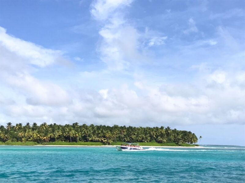 Saona Island Tour All Inclusive Speedboat and Catamaran - Included in the Tour