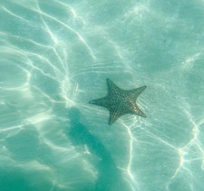 Saona Island Tour All Inclusive Speedboat and Catamaran - Customer Feedback