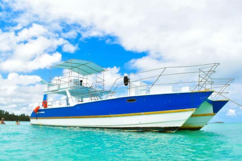 Saona Island Tour From Santo Domingo with Lunch and Pickup - Detailed Analysis of Value and Practicalities