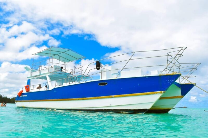Saona Island Tour From Santo Domingo With Lunch and Pickup - Itinerary Highlights