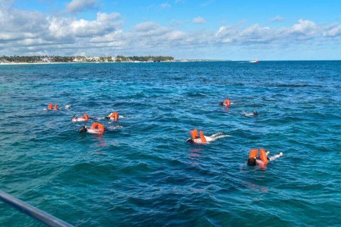 Saona Island Tour From Santo Domingo With Lunch and Pickup - Customer Feedback