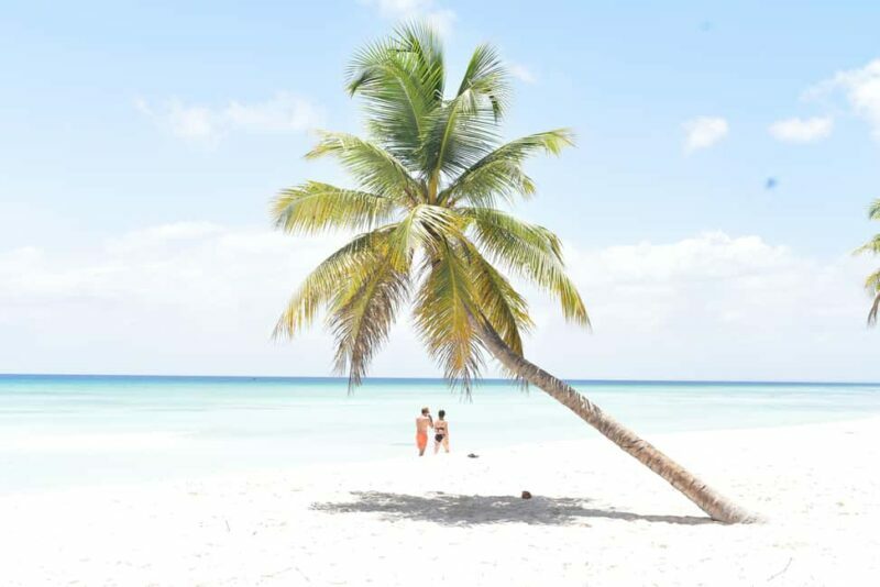 Saona Island Tour from Santo Domingo with Lunch - Key Points