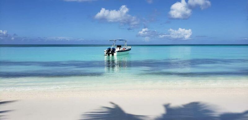 Saona Island Tour from Santo Domingo with Lunch - An In-Depth Look at the Saona Island Tour Experience