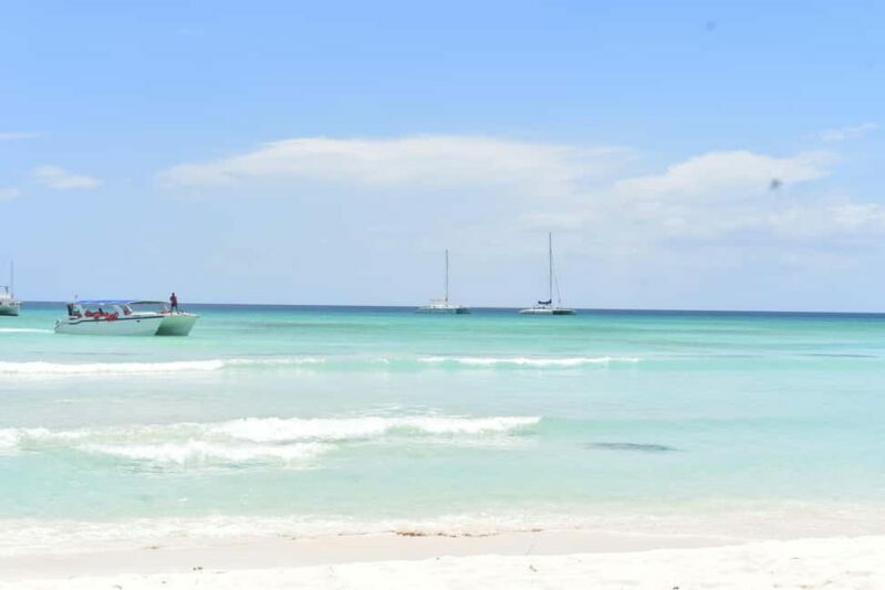 Saona Island Tour from Santo Domingo with Lunch - Who Would Love This Tour?