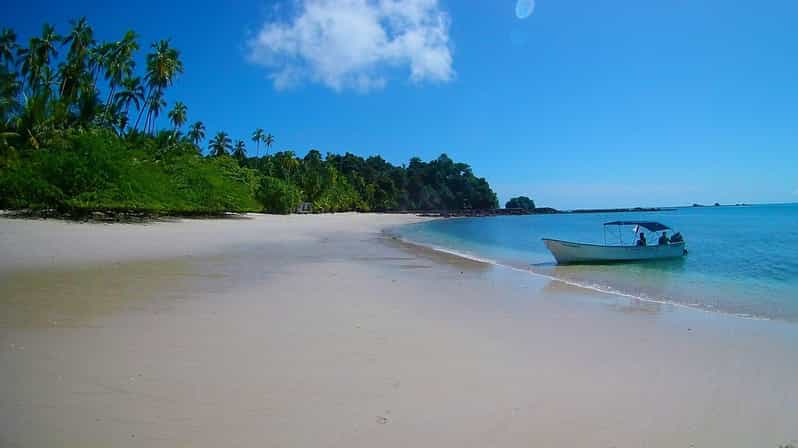Saona Island Tour With Lunch From Santo Domingo - Key Points