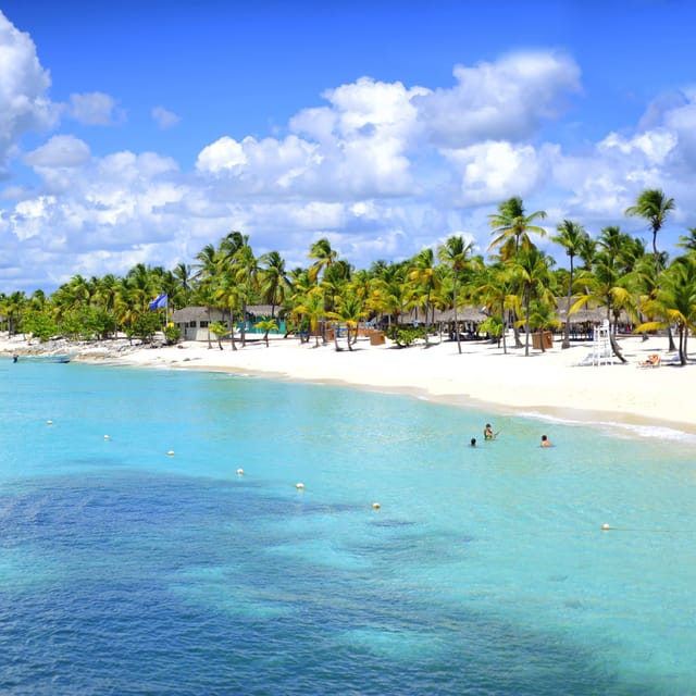 Saona Island Tour With Lunch From Santo Domingo - Experience Highlights
