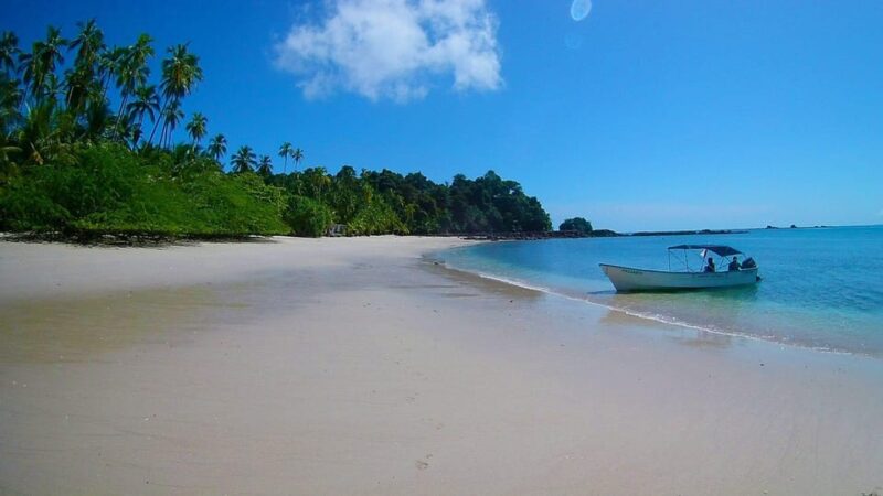 Saona Island Tour With Lunch From Santo Domingo - Inclusions