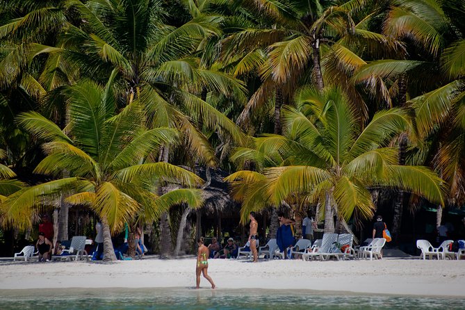 Saona Island-Ultimate Experience Under the Sun From Punta Cana - Exploring Marine Wildlife and Plant Life