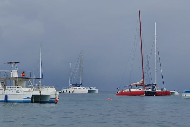 Saona Island Unforgettable Experience. !!! .. - Included Amenities
