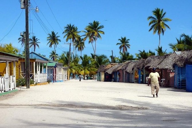 Saona Island VIP - Full Day All Inclusive Excursion! - Recommendations for Travelers