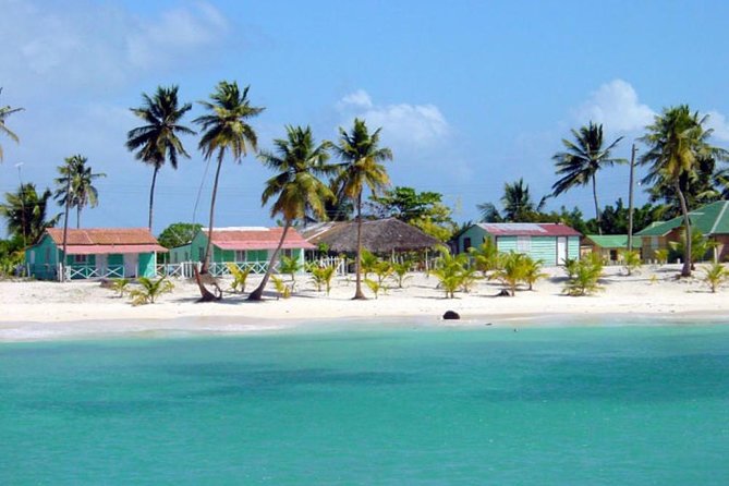 Saona Island VIP - Full Day Excursion - Accessibility and Participation