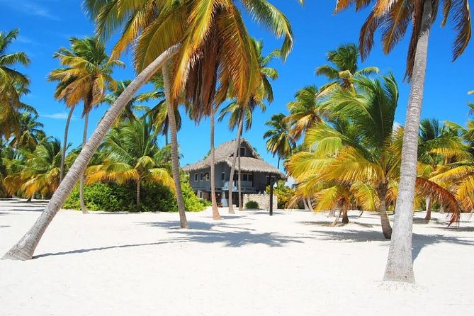 Saona Island VIP - Full Day Excursion - Turtle Sanctuary and Natural Pool