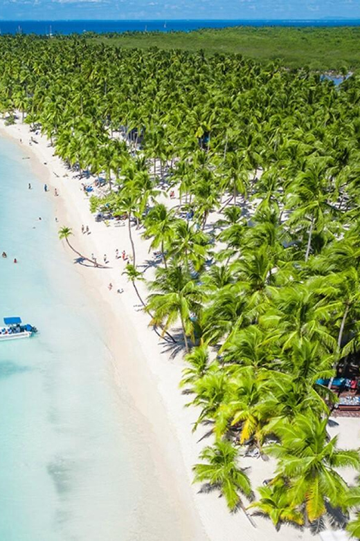Saona Island With Catamaran and Lunch - Key Points