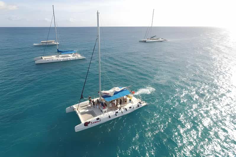 Saona Island With Catamaran and Lunch - Activities and Experiences