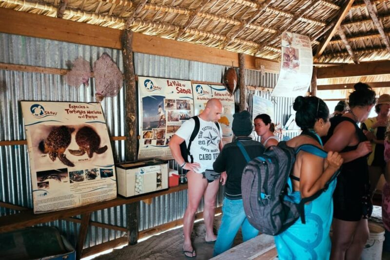 Saona Premium Hand Juan Beach Singing Tour - Pricing and Booking