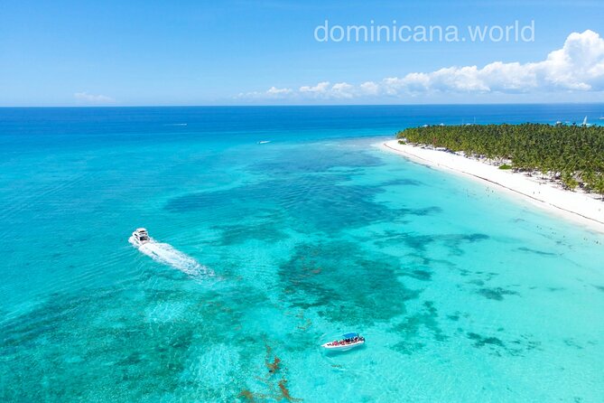 Saona Private Tour With Personal Guide and Transport From Punta Cana - Pricing and Packages
