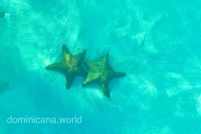 Saona Private Tour With Personal Guide and Transport From Punta Cana - Additional Information