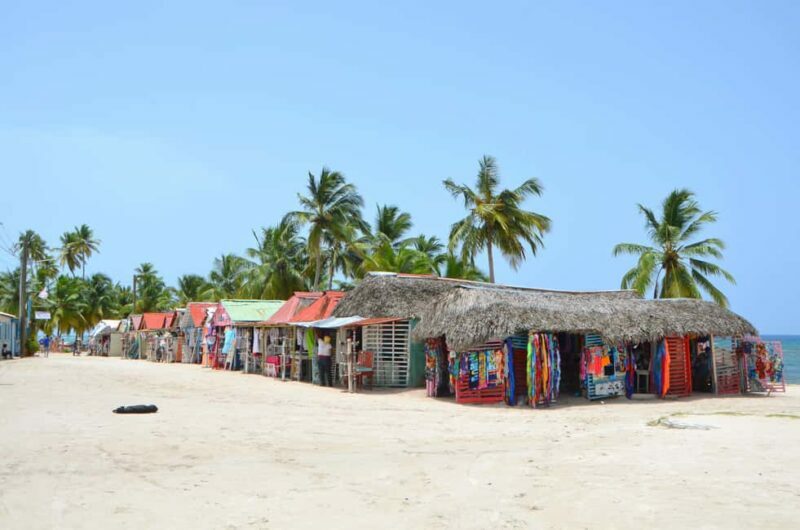 Saona Special Tour: 4 Beaches with Canto from Punta Cana - Who Will Love This Tour?
