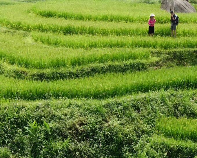 SAPA 1 DAY - Mountain Views And Villages Trek - Long Trek - Recap