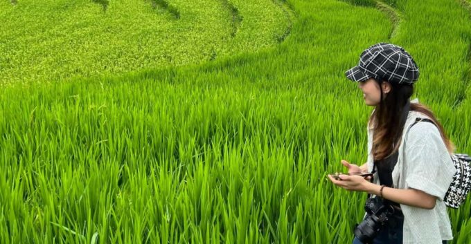 SAPA 1 DAY - Rice Paddies And Cultures - Easy Hiking - Frequently Asked Questions