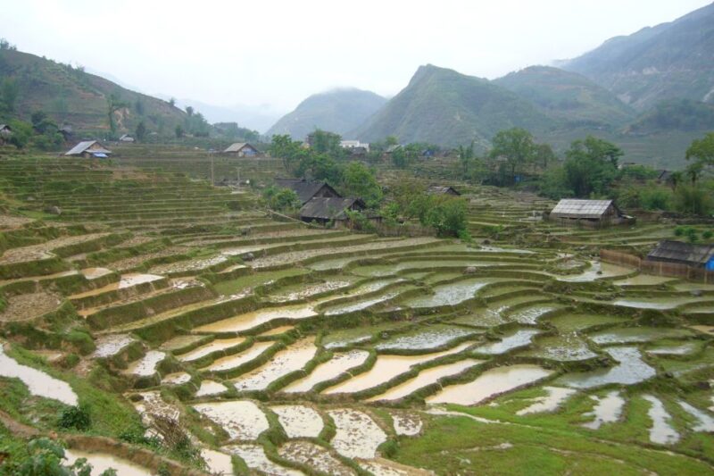 Sapa: 1-Day Trek Through Muong Hoa Valley & Villages - Visiting Y Linh Ho Village