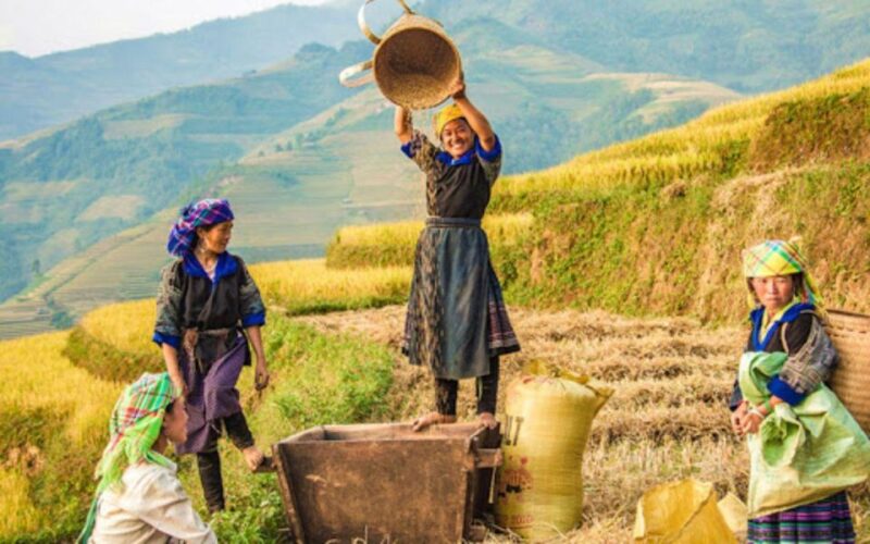 Sapa 1-Day Trekking to Lao Chai-Ta Van Village - Itinerary and Schedule