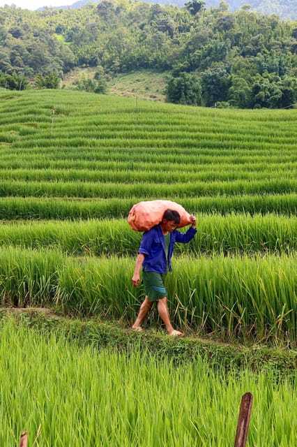 Sapa : 2 Day 1 Night Trekking With La La and Su Family - Key Points