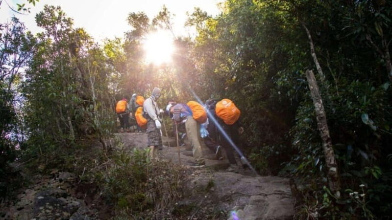 Sapa: 2-Day Trek to Fansipan - Indochinas Highest Peak - Suitability and Preparation