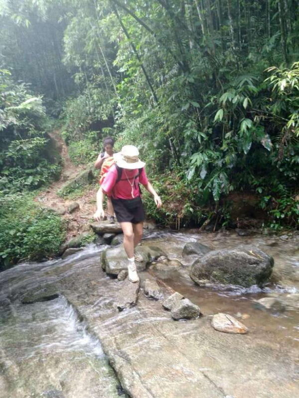 Sapa: 2-Day Trek to Fansipan - Indochinas Highest Peak - Scenic Van Ride and Trekking