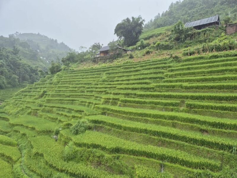 SAPA 2 DAY Trekking & 1 Night Homestay With LOCAL PEOPLE - Important Information and Requirements