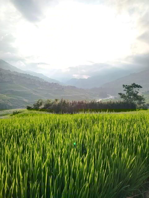 SAPA 2 DAY Trekking & 1 Night Homestay With LOCAL PEOPLE - What to Bring and Preparation