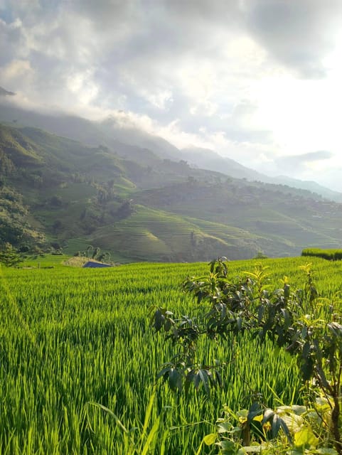 SAPA 2 DAY Trekking & 1 Night Homestay With LOCAL PEOPLE - Accommodation and Meals