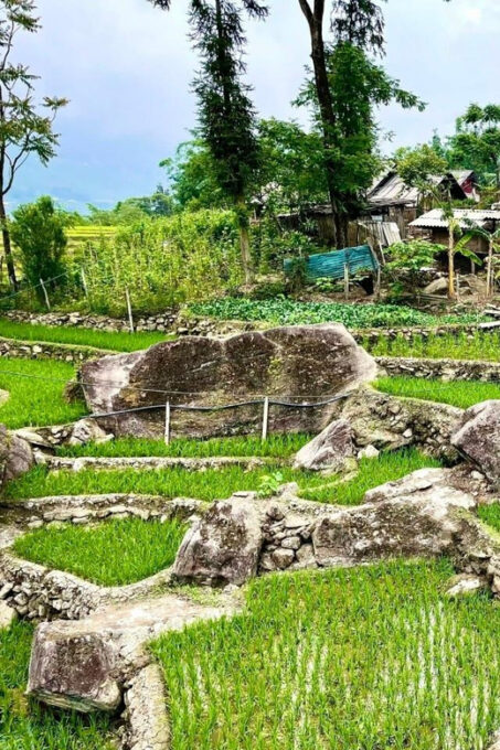 SAPA 2 DAY Trekking & 1 Night Homestay With LOCAL PEOPLE - Frequently Asked Questions