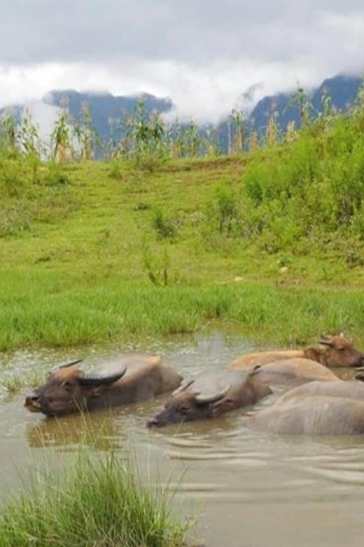 SAPA 2 Day Trekking & 1 Night Homestay With LOCAL PEOPLE - Sapa Trekking Experience