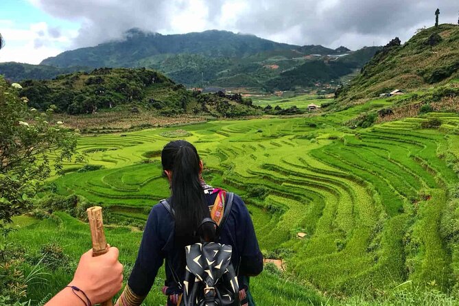 Sapa 2 Day Trekking With 1 Night Homestay - Savouring Homemade Culinary Delights