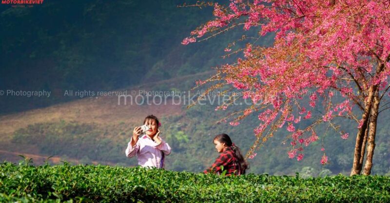 Sapa 2 Days 1 Night - Classic Hikking Tour - Highlights