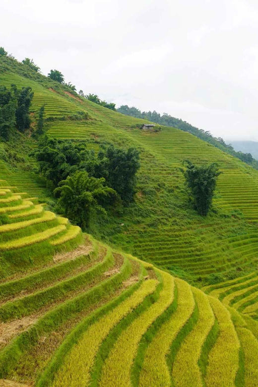 Sapa 2 Days 1 Night Overnight at Homestay With Local People - Inclusions and Exclusions