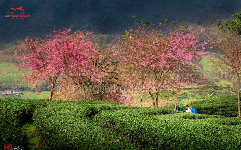 SAPA 2 Days - Classic Hikking Tour - Additional Options